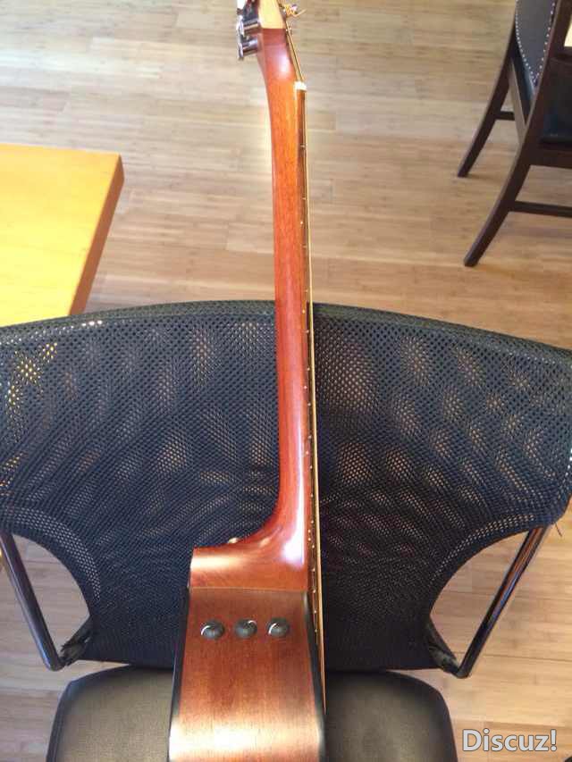 侧面，拾音器