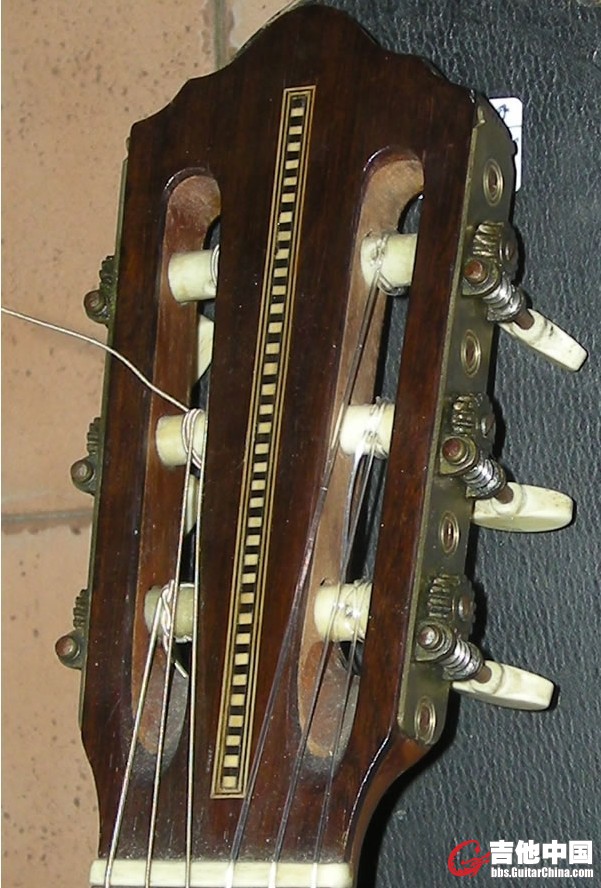 t3.jpg