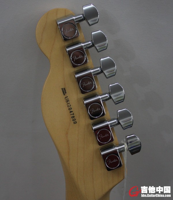 Fender 019.jpg