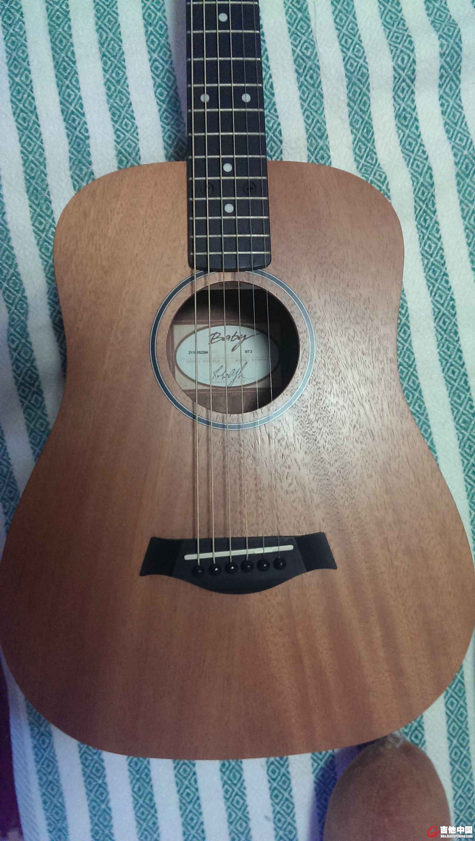 IMAG0244.jpg