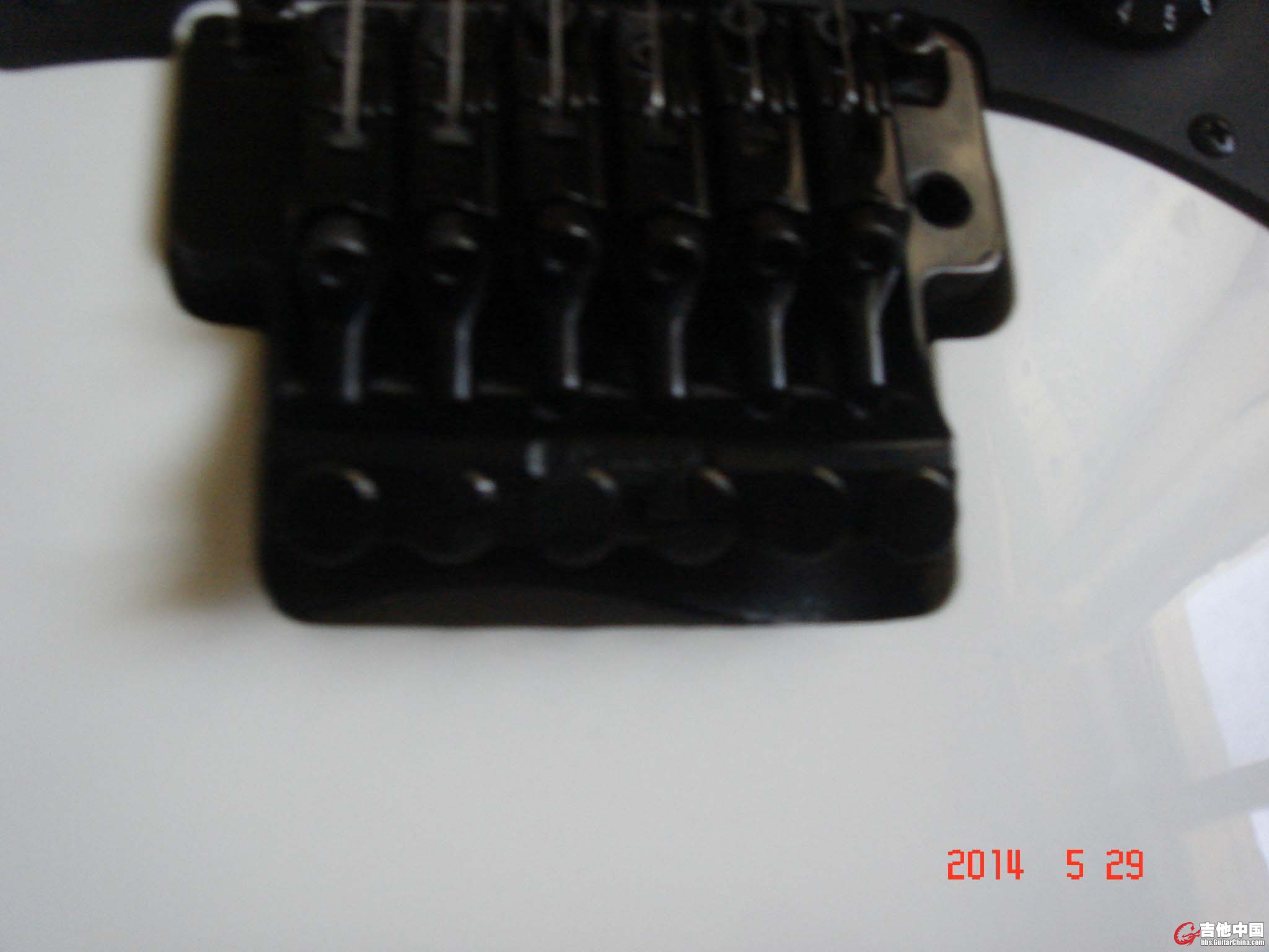 DSC01434.jpg
