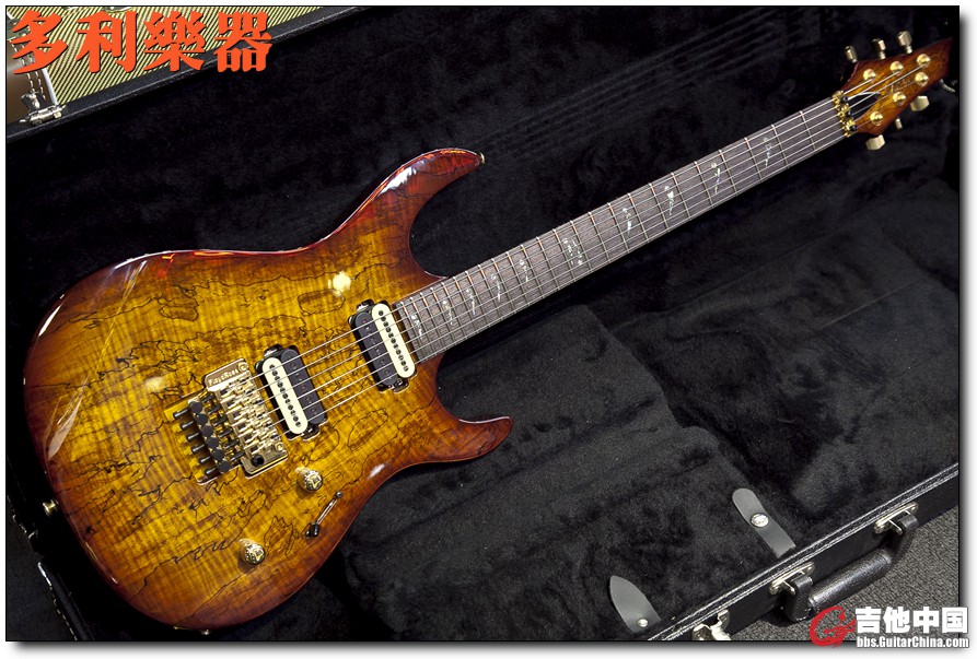 CARVIN DC600