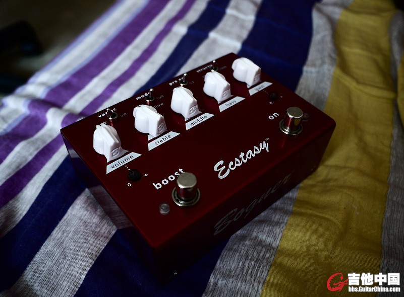 BOGNER5.jpg
