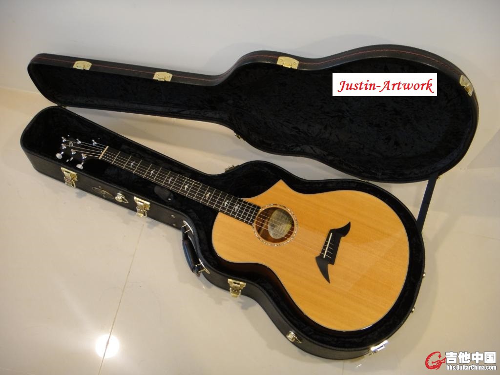 Justin-Artwork (Breedlove Guitar)