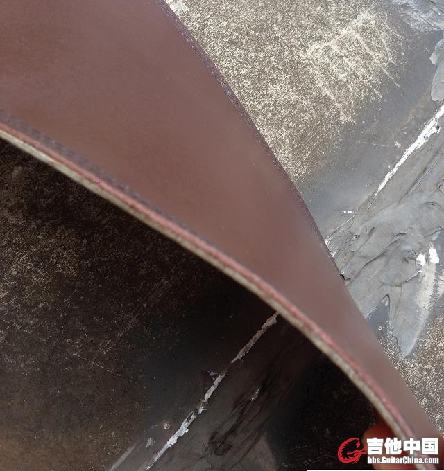 真皮