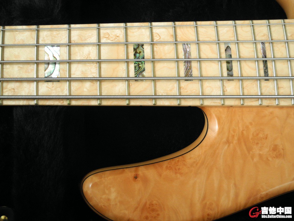 Fodera 03.jpg