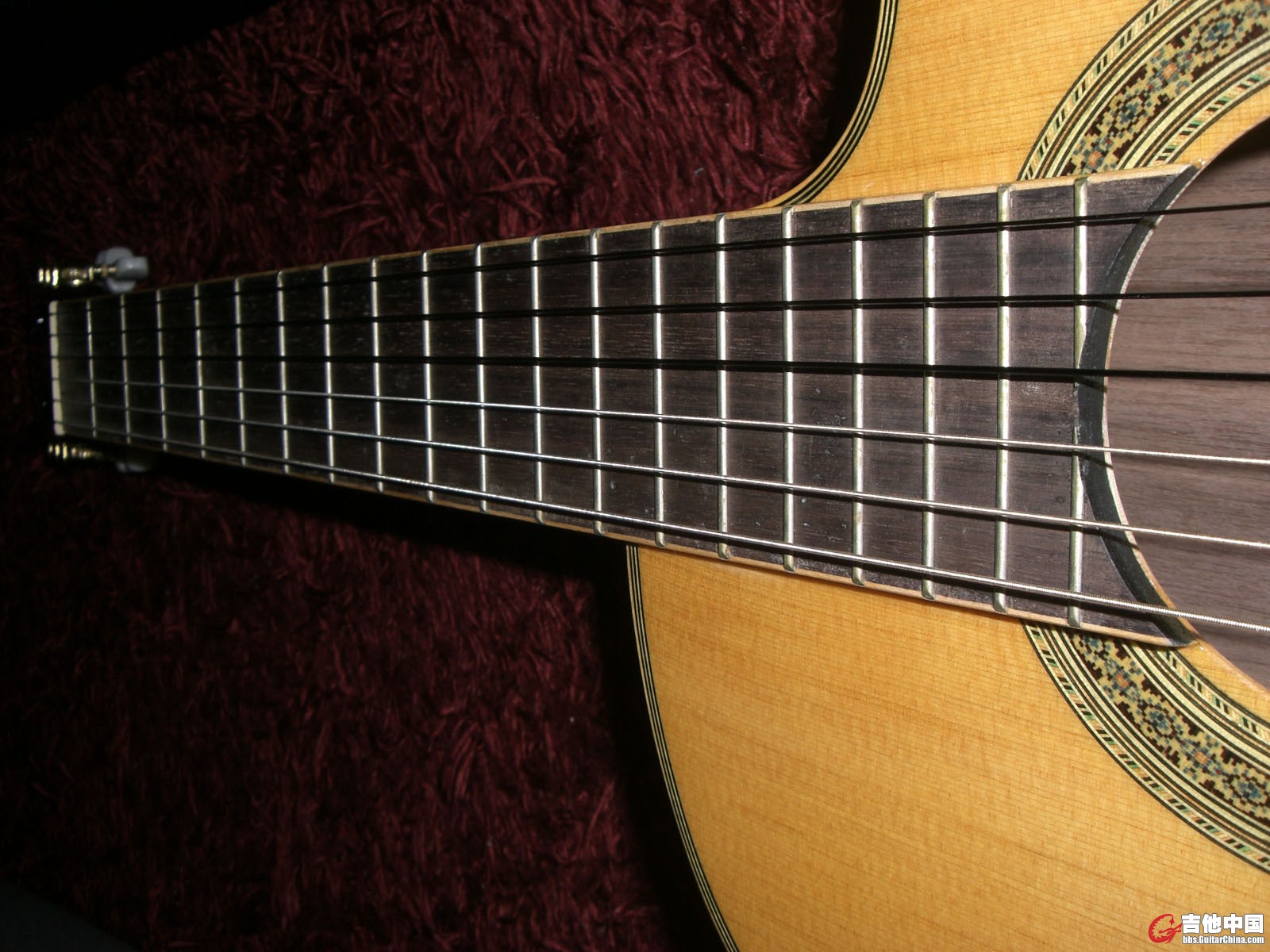 CIMG8169.JPG
