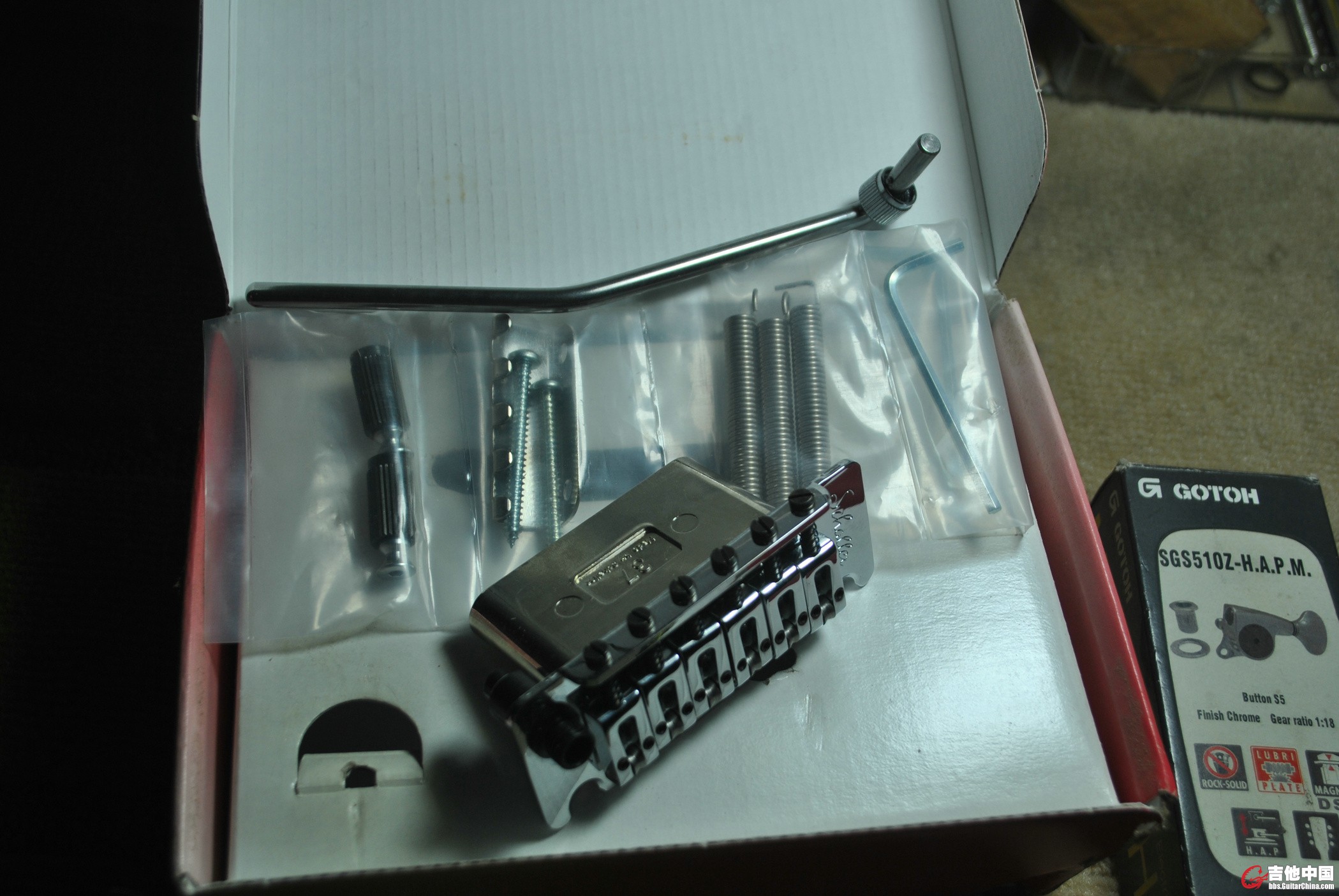 DSC_8769.JPG
