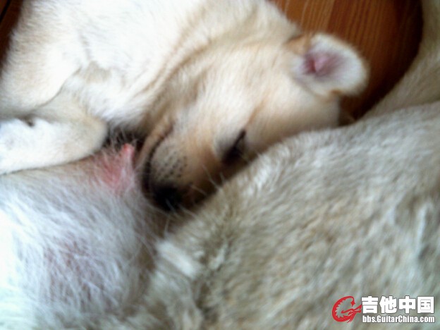 QQ截图20140712112800.jpg