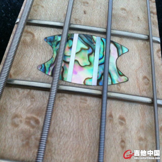 鸟眼 似乎蕴藏着巨大能量