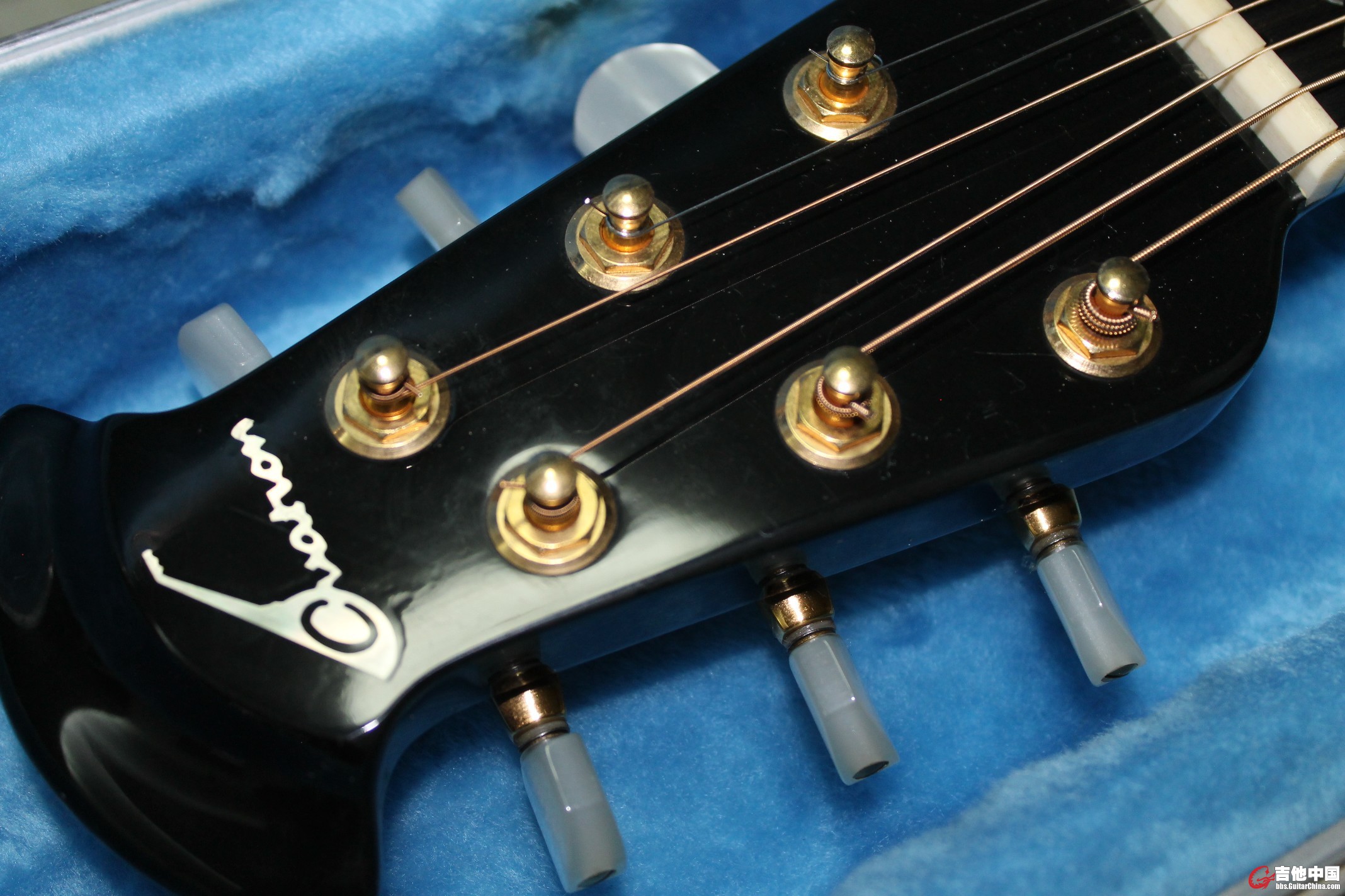 Ovation (2).JPG
