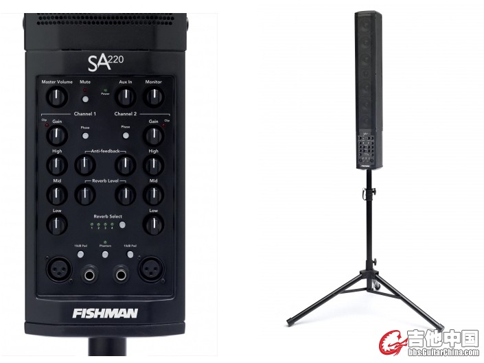fishman sa220