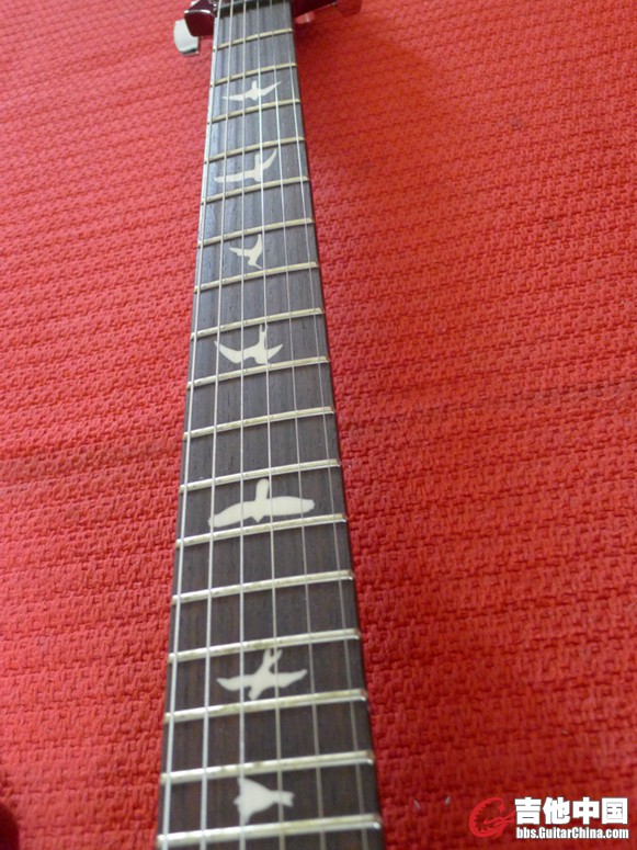 L1000767.jpg