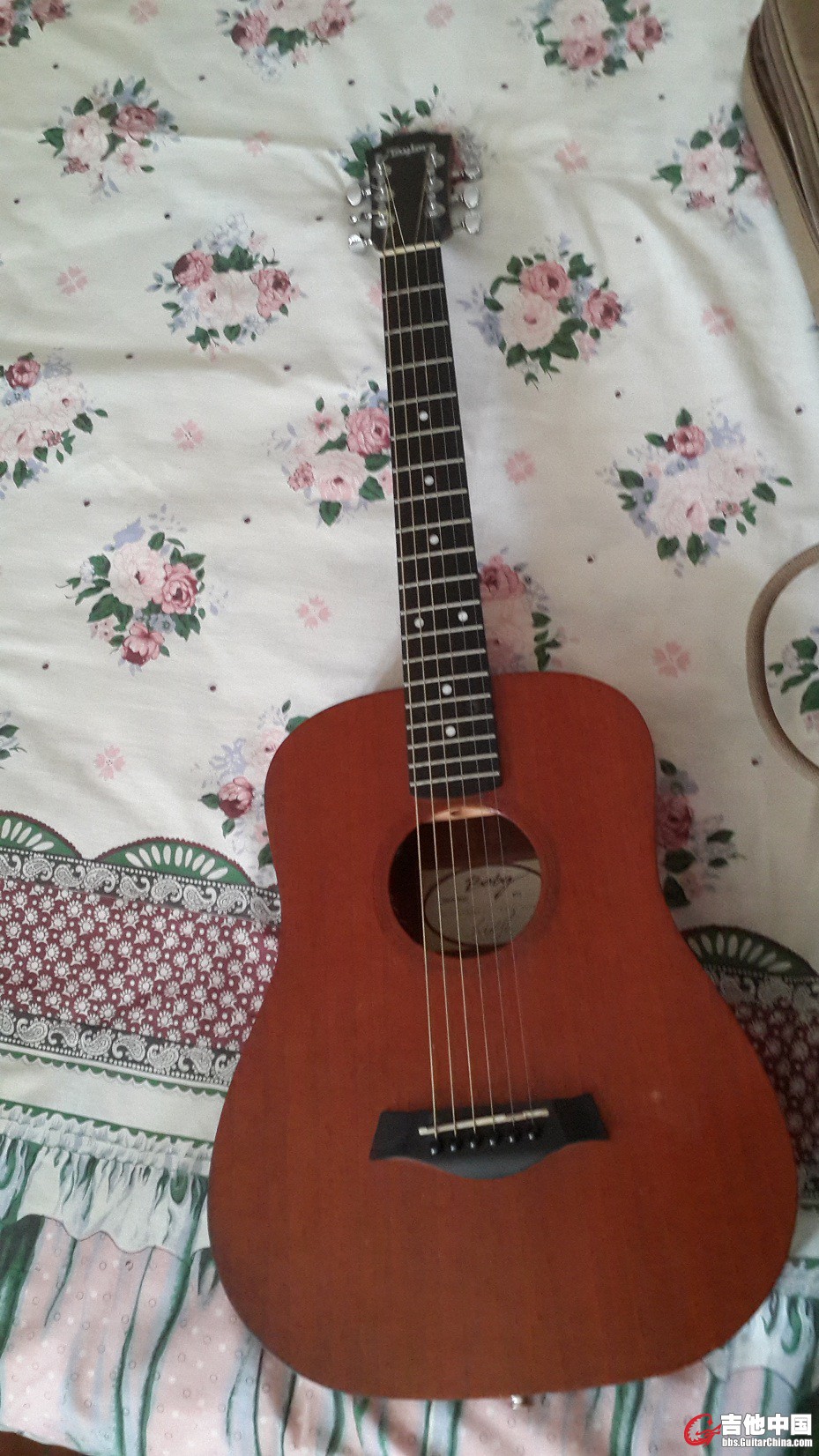 20140803_170756.jpg