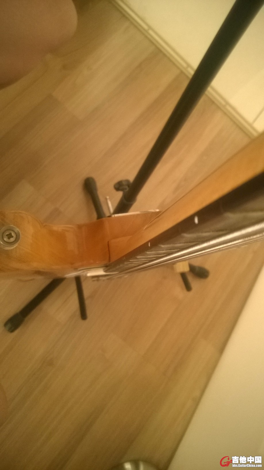 WP_20140803_005.jpg