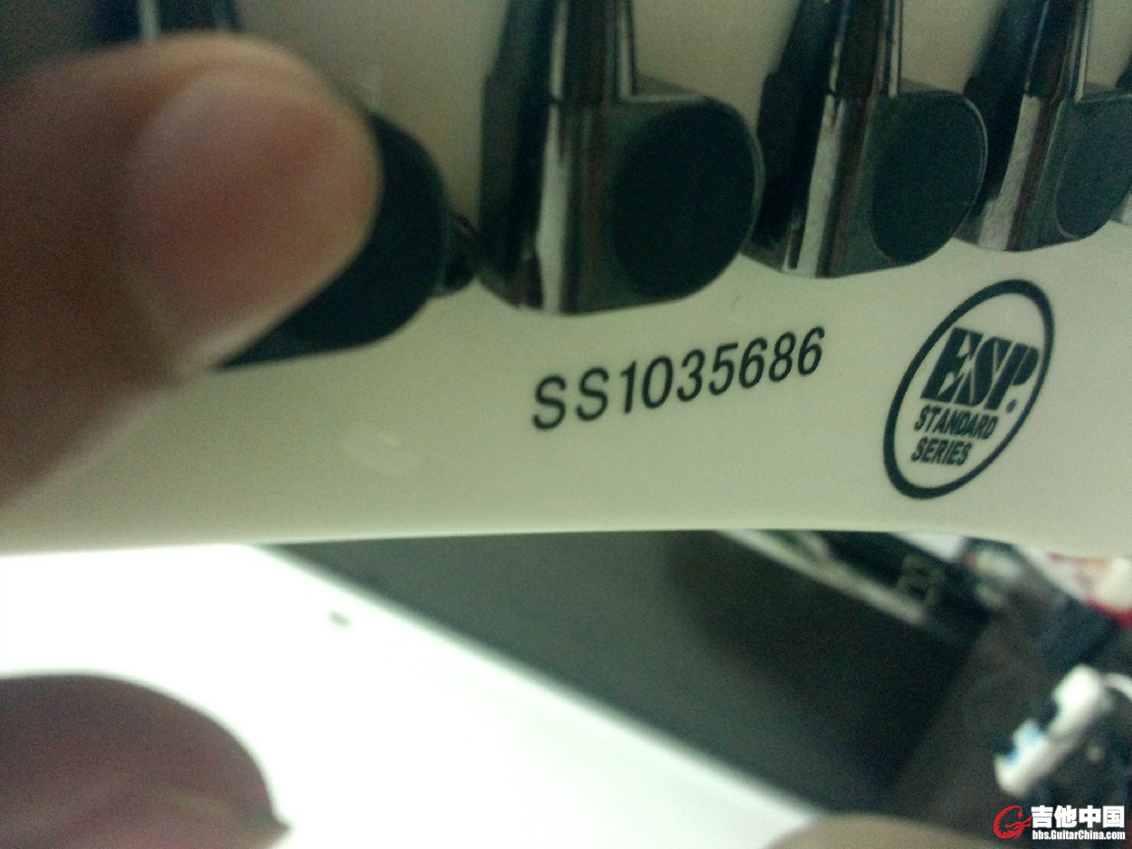 333.jpg