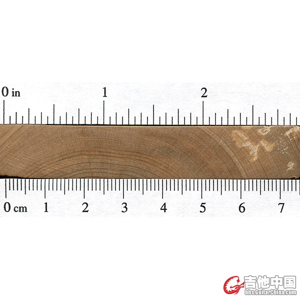 软枫木2.jpg