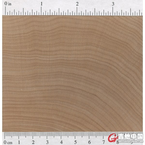 硬枫木2.jpg