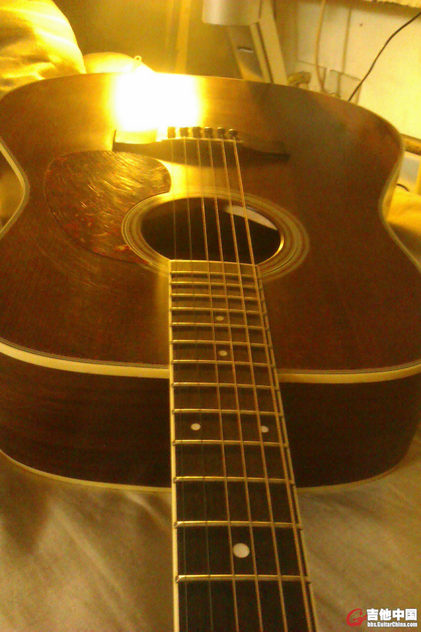 IMAG0222.jpg