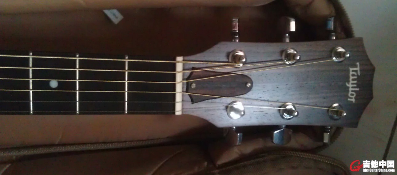 Taylor6.jpg