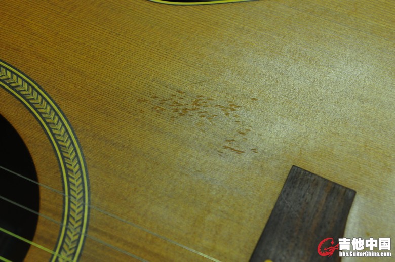 RRR_3595_conew1.JPG
