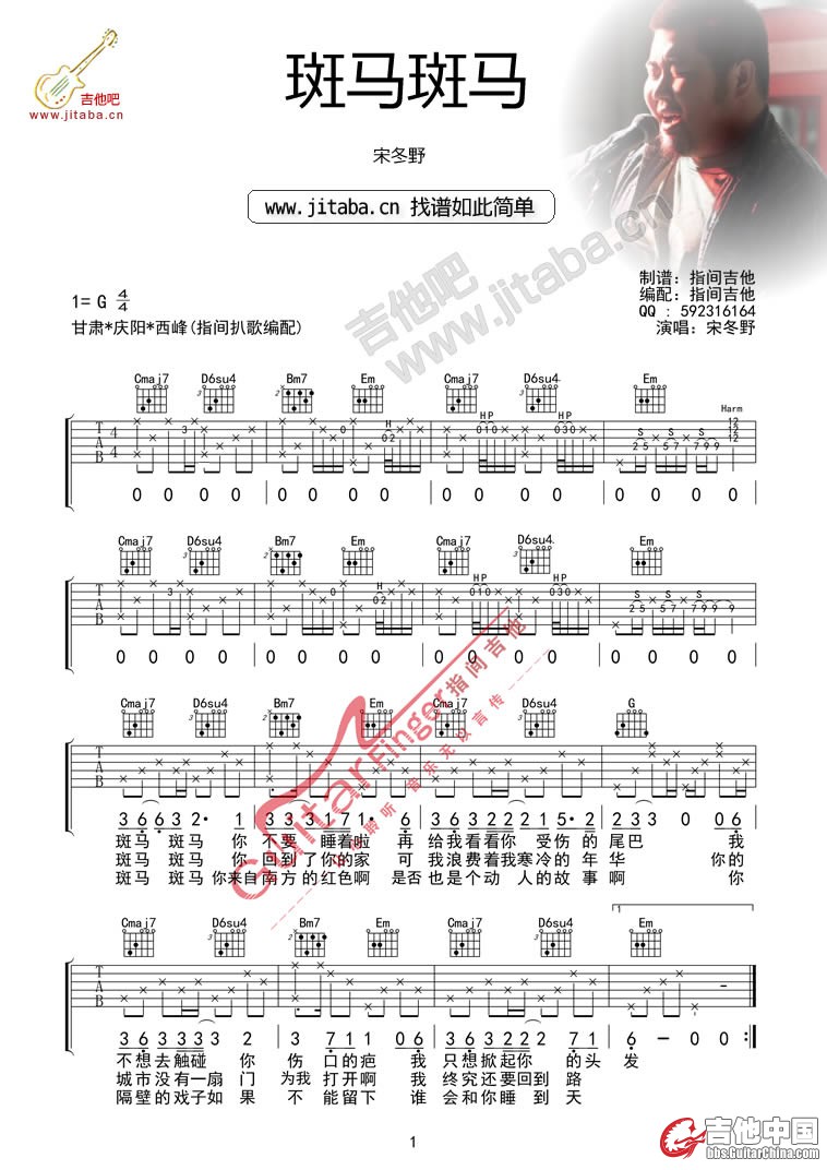 斑马 斑马1.jpg