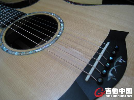 taylor 916ce 008.jpg