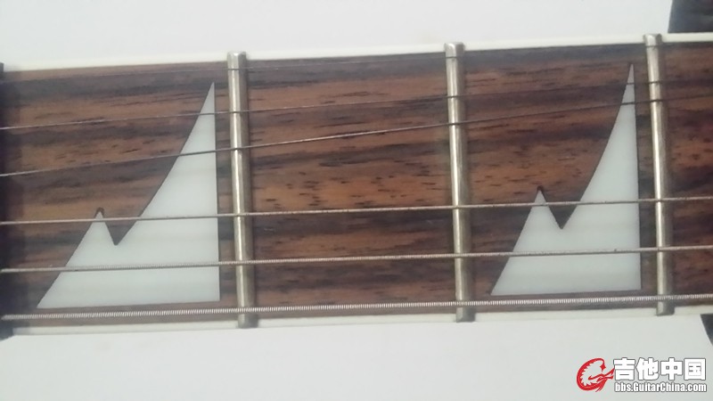 Ibanez2.jpg