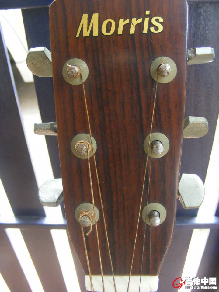 Morris w-20琴头