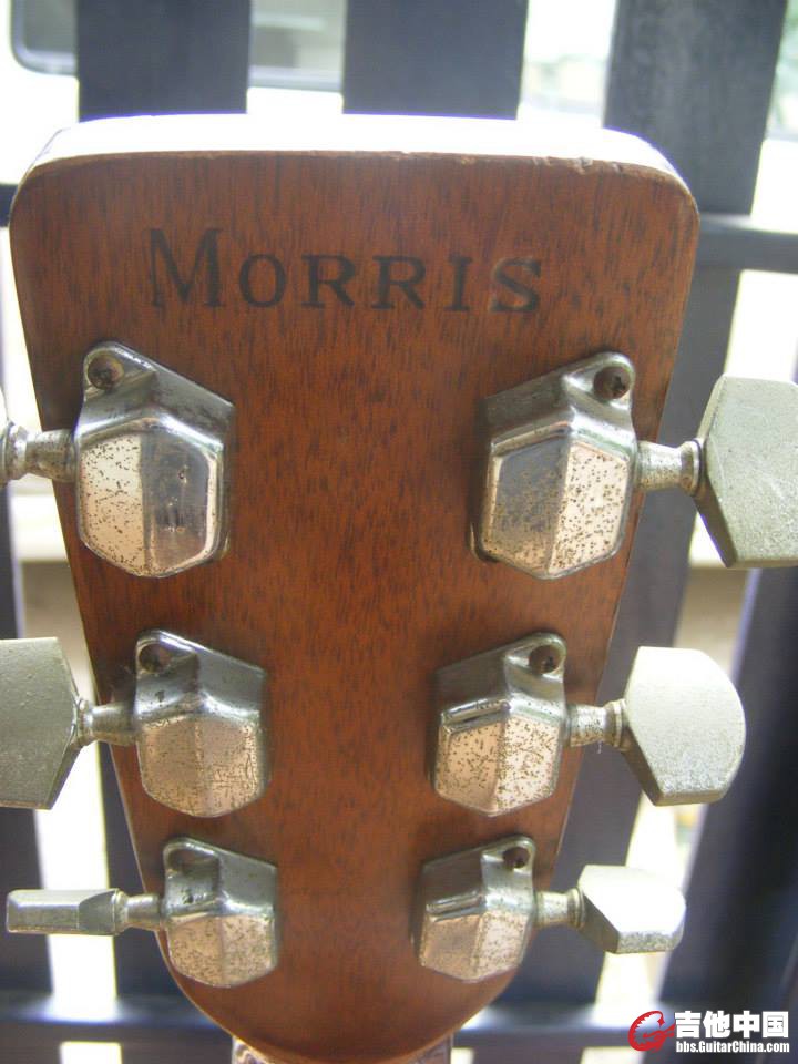 Morris w-20琴弦钮