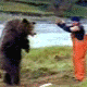 熊踢.gif
