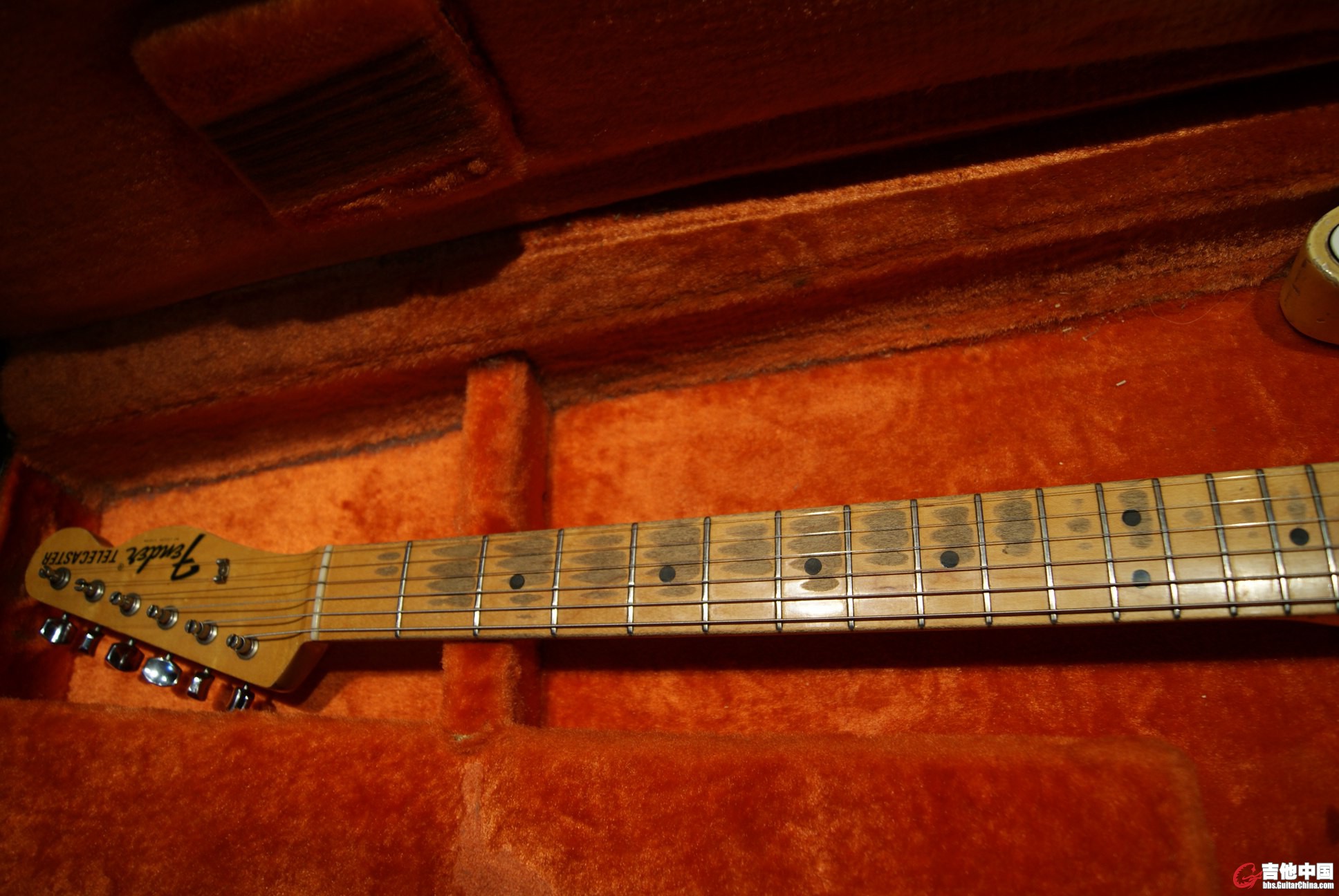 DSC07615.jpg