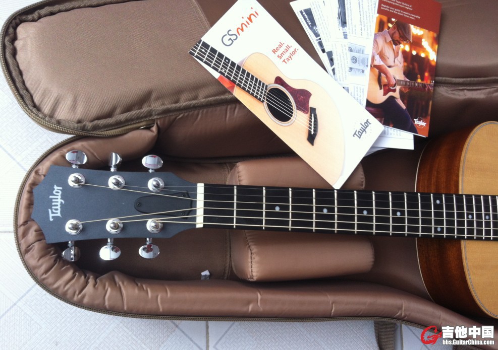 taylor gs mini