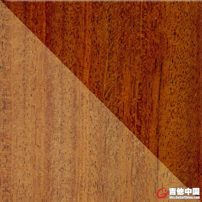 洪都拉斯桃花心木.jpg