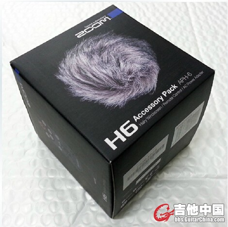 ZOOM APH6 01.jpg