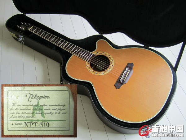 takamine npt510