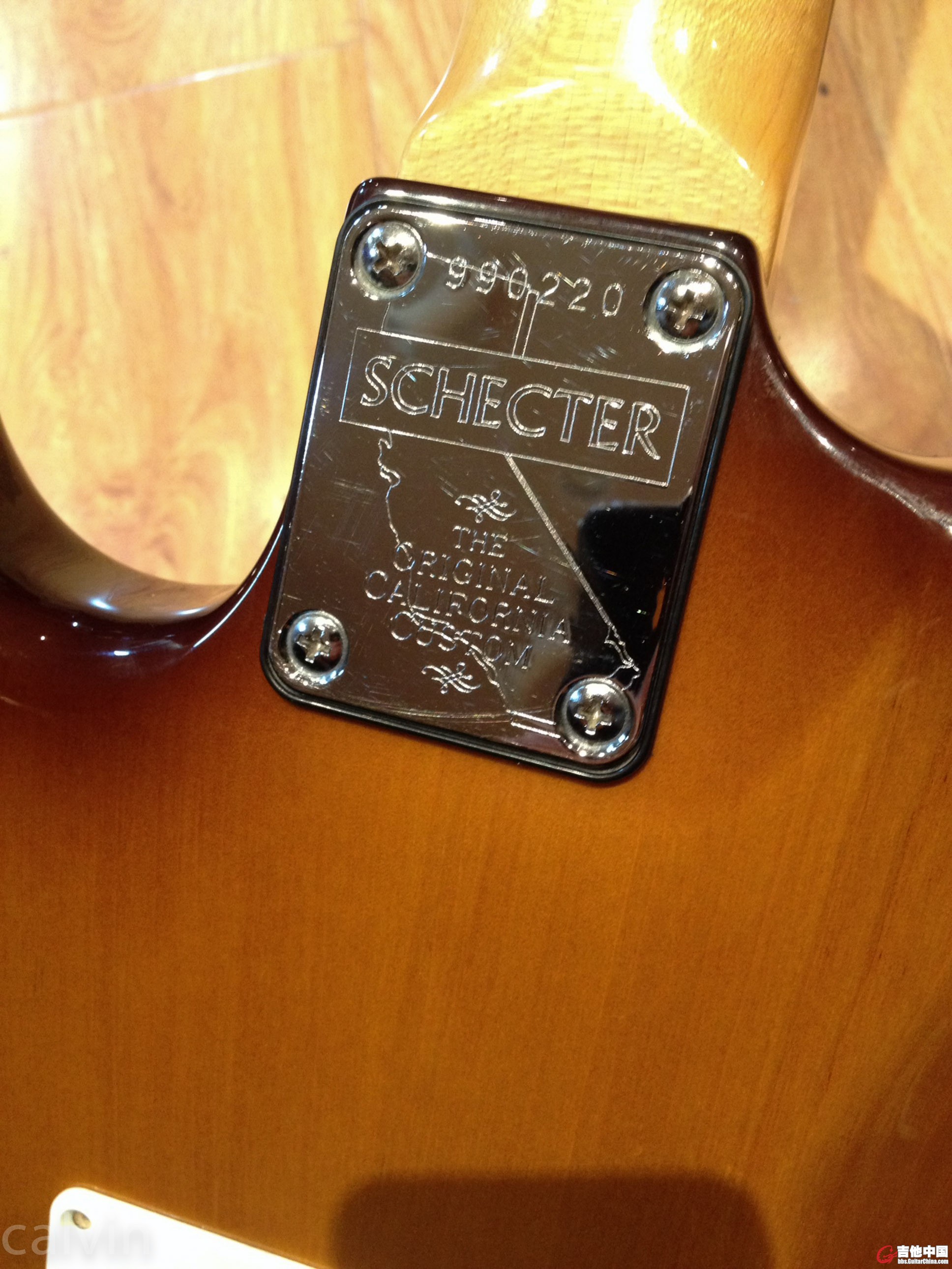 schecter-4.jpg