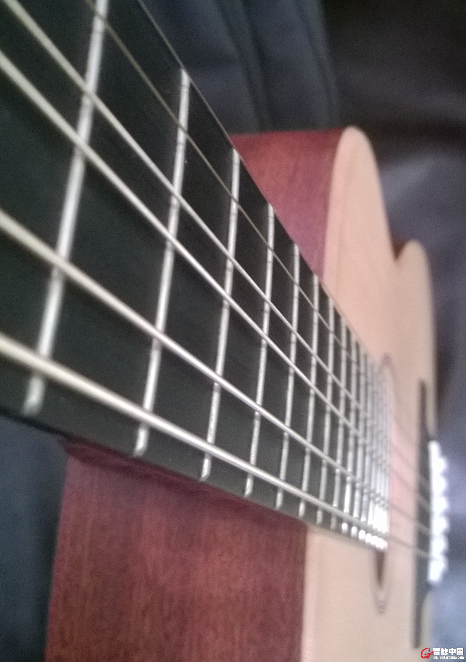 WP_20141104_008.jpg