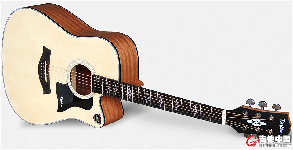 AD05taisenguitar 5series.jpg