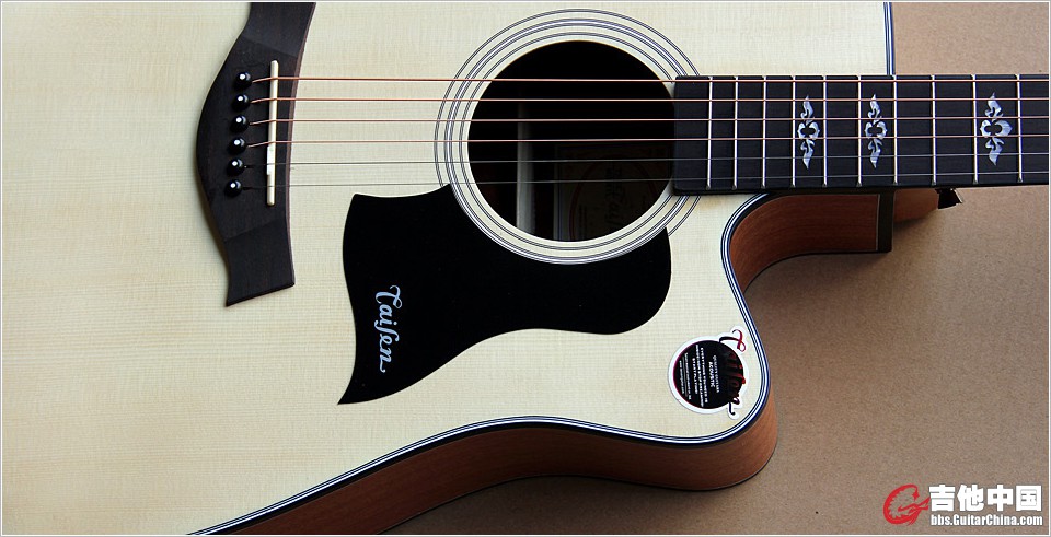 AD03 taisenguitar 5series.jpg