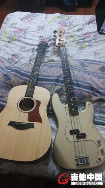 和fender p bass对比，非旅行吉他