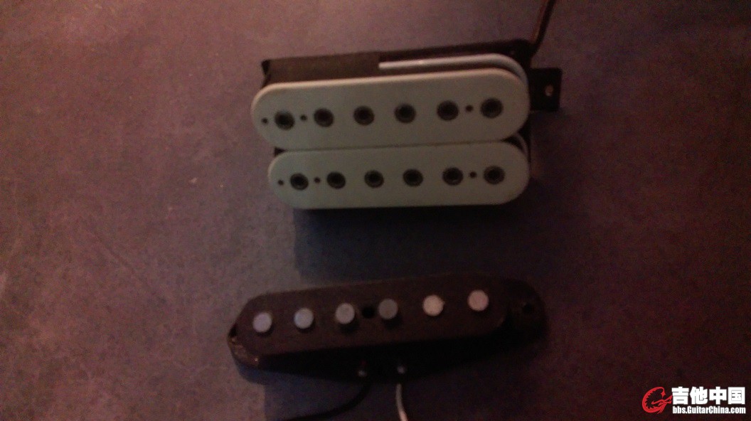 IMAG0113.jpg