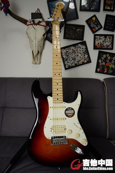 f std (2).JPG