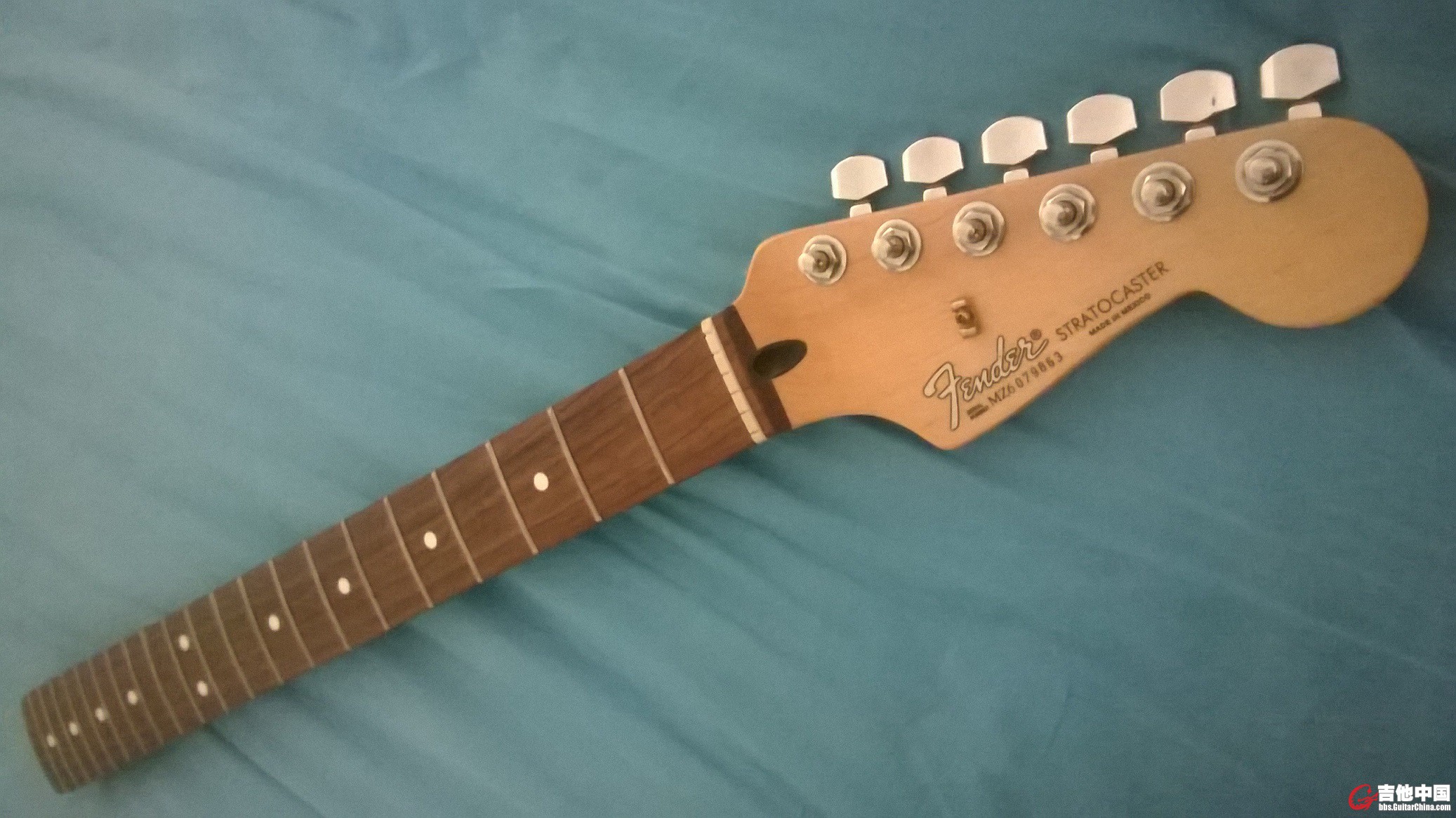 Fender ST琴颈 60周年墨标