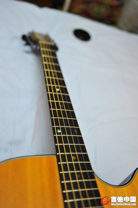 DSC_8628_缩小大小.JPG