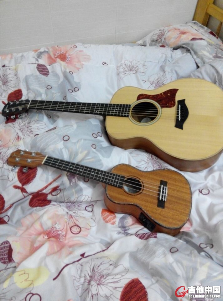 QQ图片20141121100333.jpg