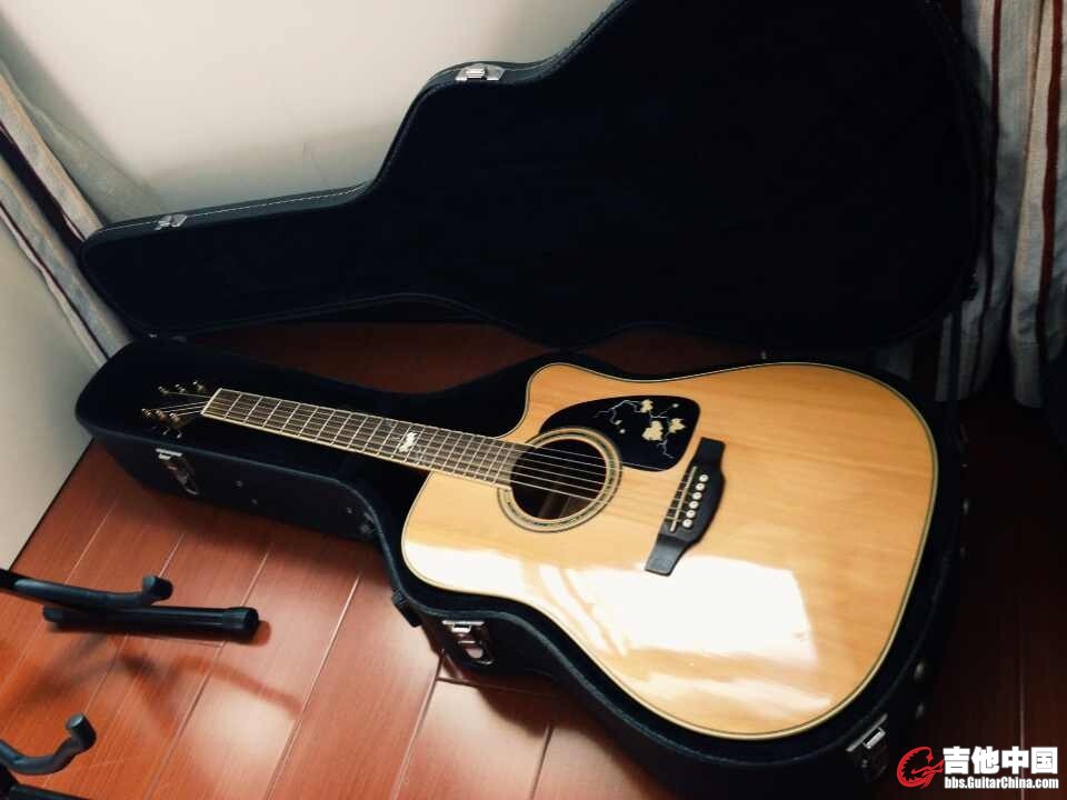 takamine2.jpg