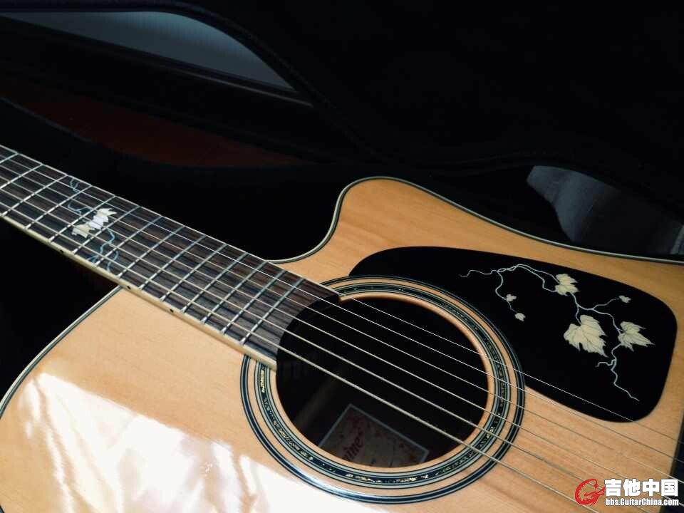 takamine3.jpg