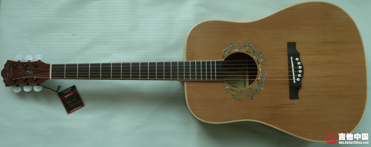 DD-79-N