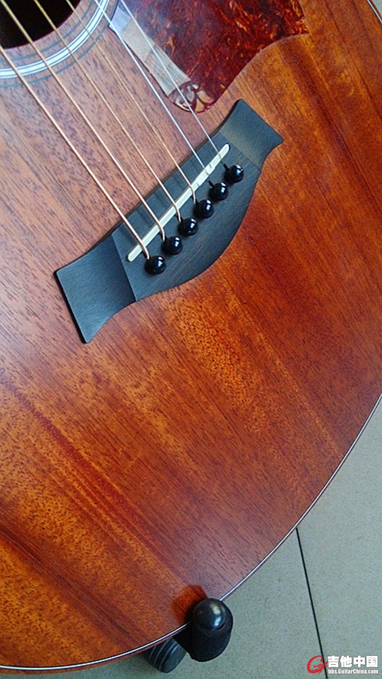 taylor1.jpg